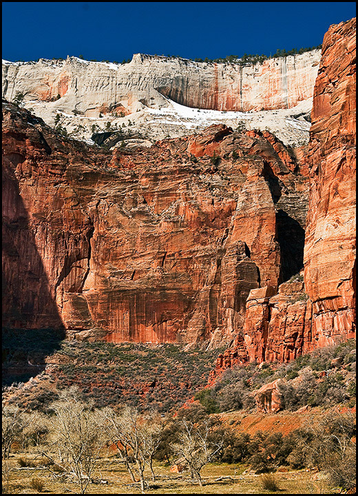Zion National Park: Temple of Sinawava Vertical