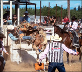 Cowboy Down Oakdale Rodeo