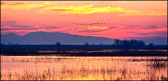 Sunset Over Merced Wildlife Refuge